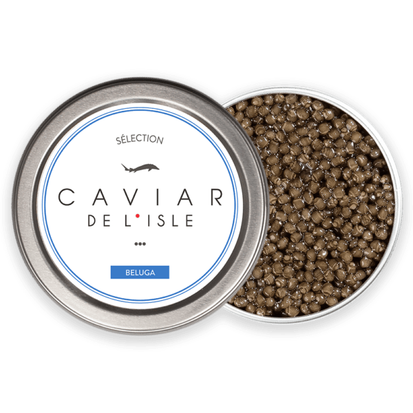 Caviar Beluga